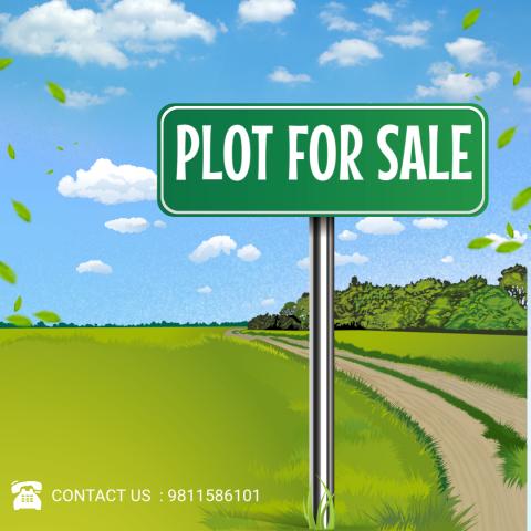 Real estate image