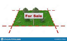 Real estate image